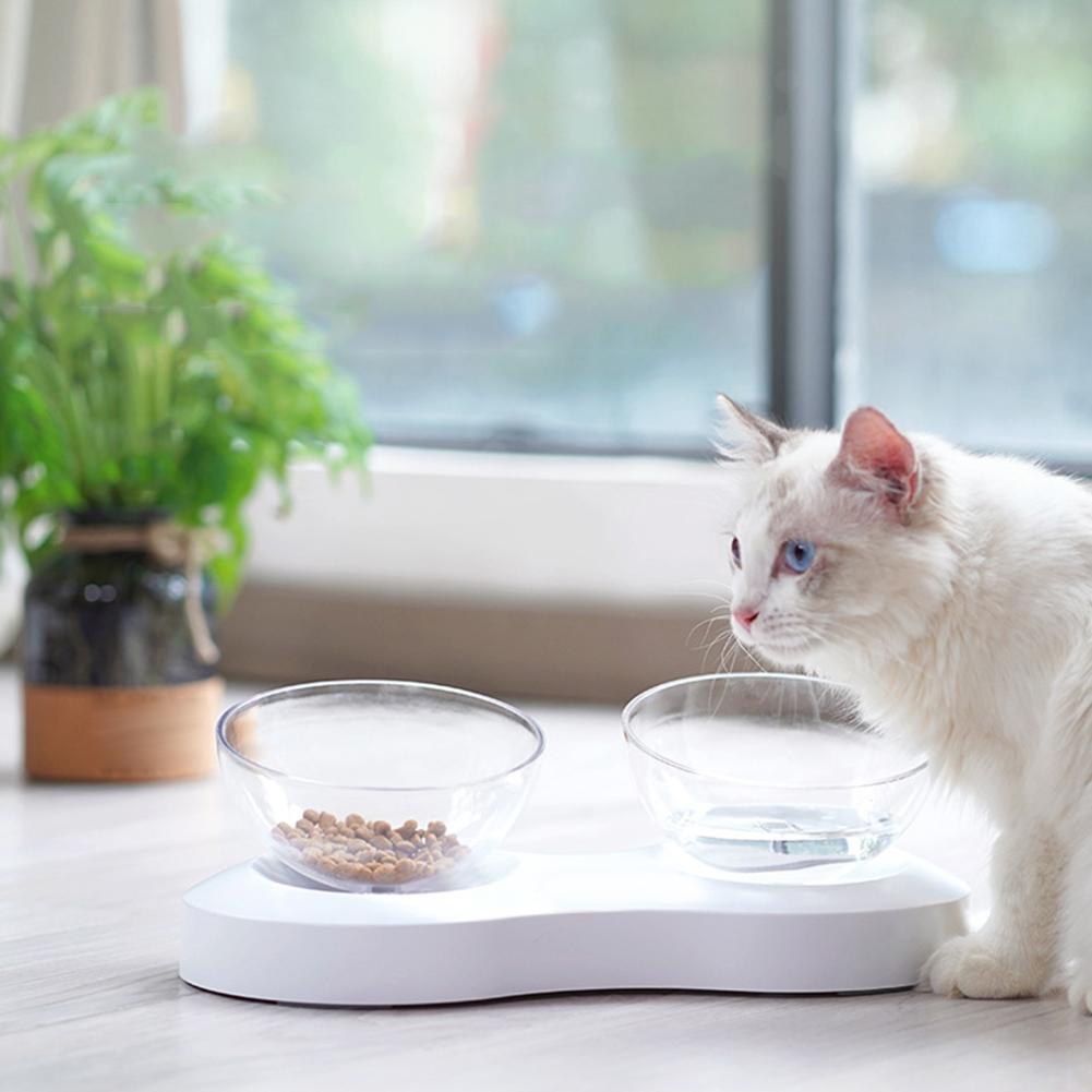 Pet Feeder 20  degrees  Adjustable Pet Cats Drinking Feeding Bowl Transparent Double Cat BowlWhite