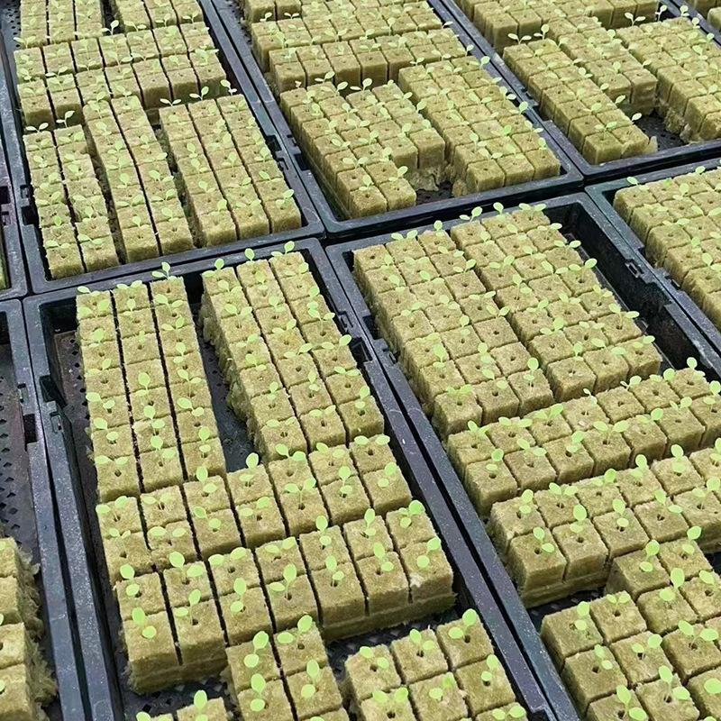 Seedling Grow Plug Sponge Block Starter Rock Wool Planting Grow Cubes Hydroponics Cuttings Garden Plant Propagation Grow Supply