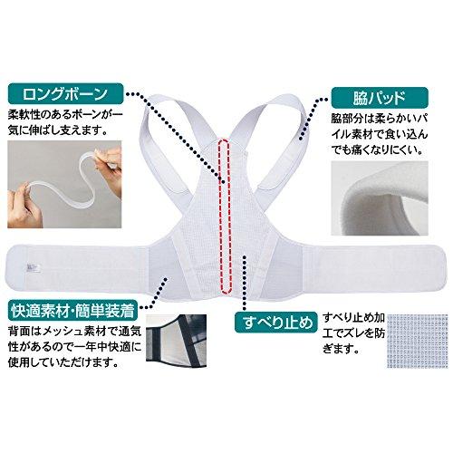 Alphax Doctor's Strong Back Belt, Posture Supporter for Back and Waist, Sizes L-LL, Made In Japan