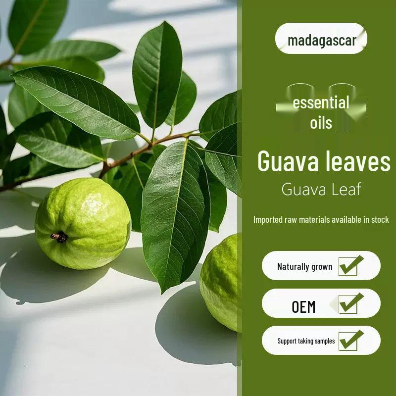 

Madagascar Guava Leaf Essential Oil for Massage & Aromatherapy