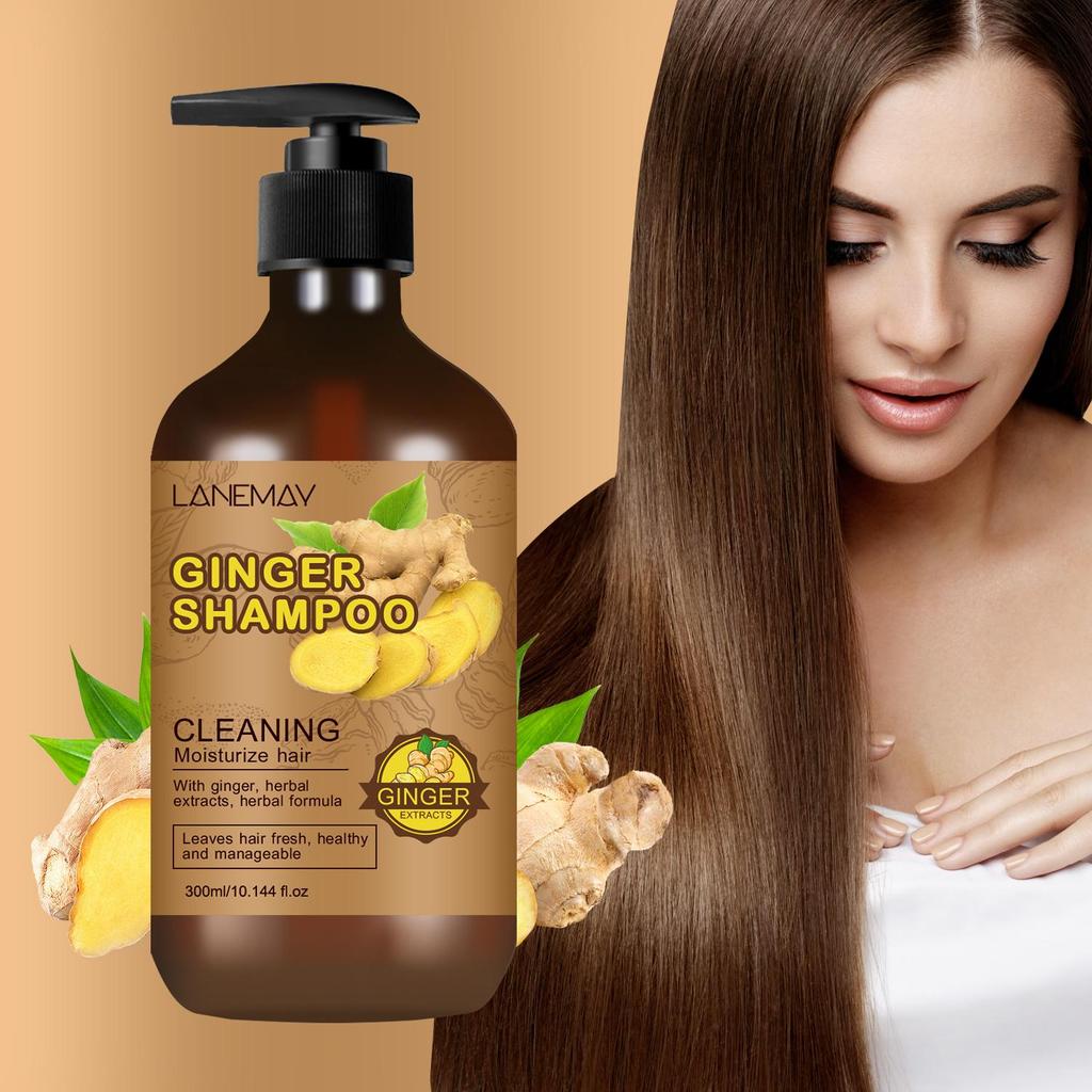 Ingwer-Shampoo – Reinigt und befeuchtet das Haar, stärkt und pflegt das Haar, reduziert Spliss und Haarbruch – Geeignet für alle Haartypen, 300 g