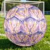 1pc Celestial Dragon Themed Soccer Ball, Size 5, Lightweight PVC Material, Outdoor Training Soccer Ball Gift. q62291
