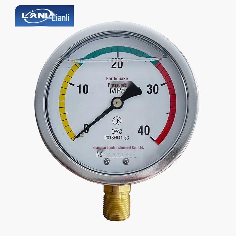 LANL YN100 Oil-Filled Shock-Resistant Pressure Gauge (CN Version)