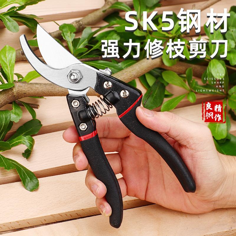 Gartenschere, Edelstahlschere, Grobe Astschere, Rebschere, Verdichtungsschere