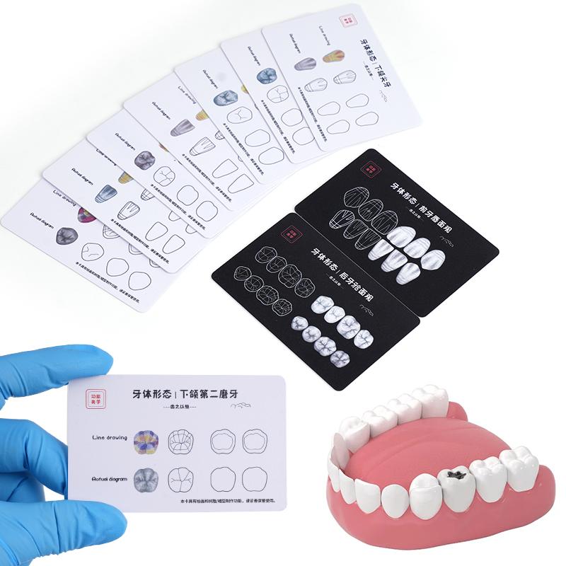 9Pcs Dental Composite Resin Filling Template Teeth Anatomical Model Board Build Up Restoration Cavity Practice