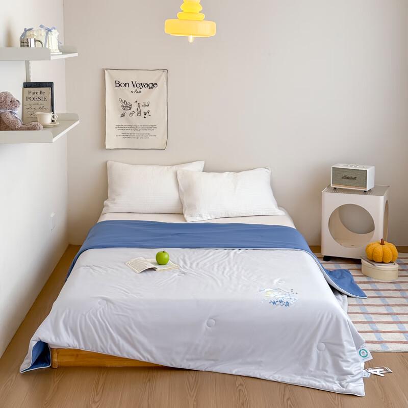 

Southern Life 7A Antibacterial Cooling Summer Quilt