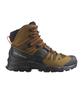 Salomon Free Returns Quest 4 Gtx Rubber Black Fairy Red L47156400