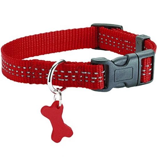 bobby dog collar