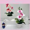 Butterfly Orchid 3d Faux Plant With Indoor Decor For Photography And Home Styling