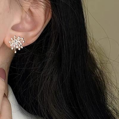 Women's Accessories Daily Snow Sparkle Silver Earrings
