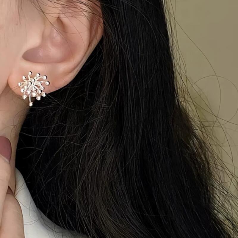 

Women s Accessories Daily Snow Sparkle Silver Earrings