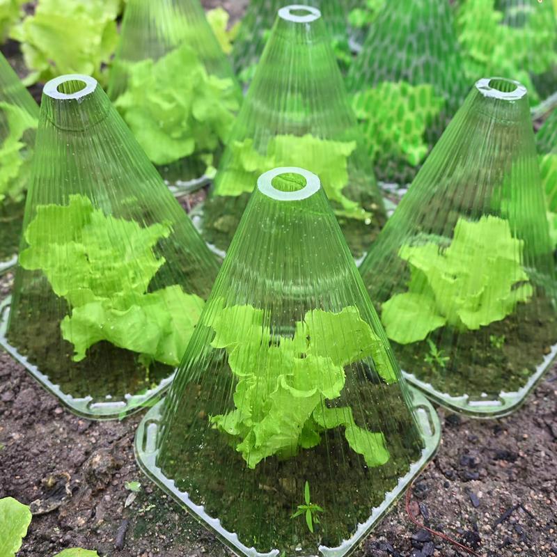 Växtskyddskåpa Trädgårdstillbehör Snigelkrage Plantkåpor Jordbruks Miniväxthusverktyg