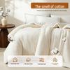 Xinjiang Cotton Quilt with Washable Cover