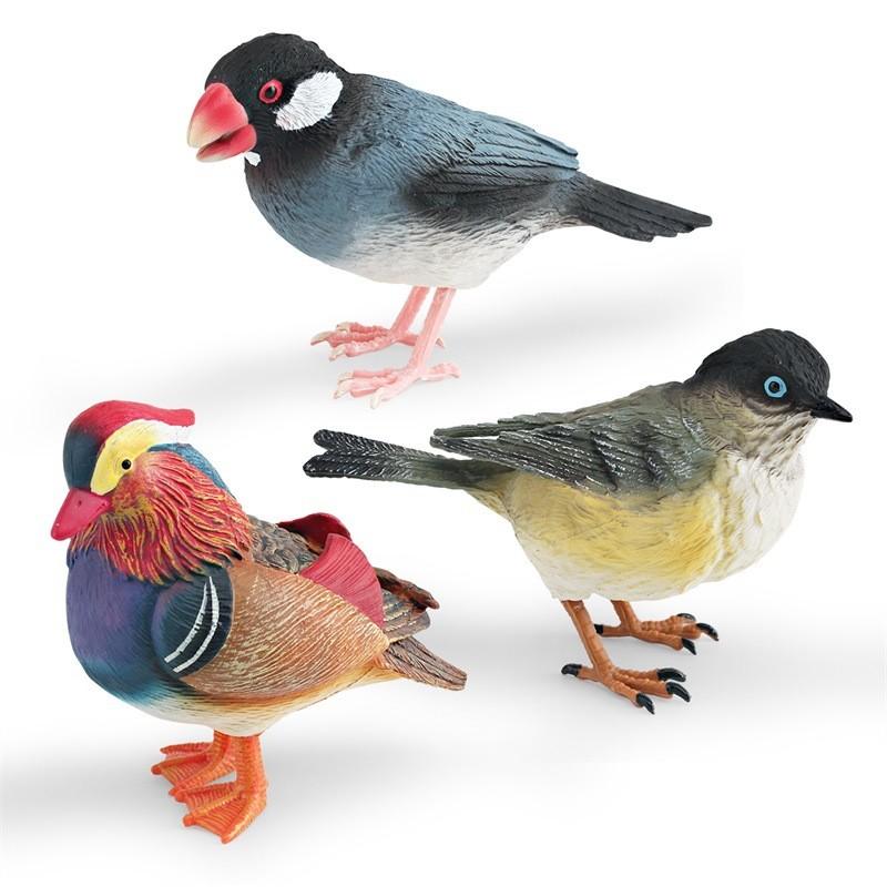 Bird Animal Static Model Toy With Plastic Material For Kids Gift Room Decoration