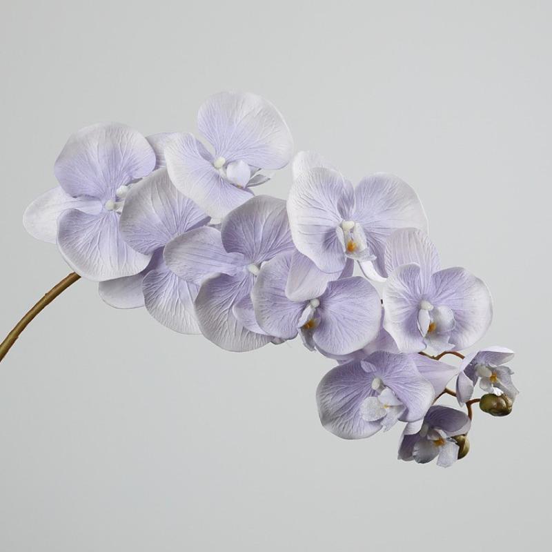 10-köpfige Phalaenopsis-Simulationsblumen, Phalaenopsis-Seidenblumen, Hochzeitsdekoration Fotografie-Requisiten