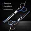 Stainless Steel Hairdressing Scissors Set: Flat, Serrated, Thinning, and Lace Shears for Styling.