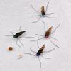 2pcs/3pcs Mix Simulated Mosquito Feather Cat Toy Replacement Accessories Funny Cat Stick Teaser Pet Toy