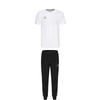 Taekwondo Round Neck Pullover Simple Short Sleeve T-Shirt Striped Fashion Long Pants Casual Sports Set Unisex Set ADICLTS24CTK-WG+TR30P1T-BG