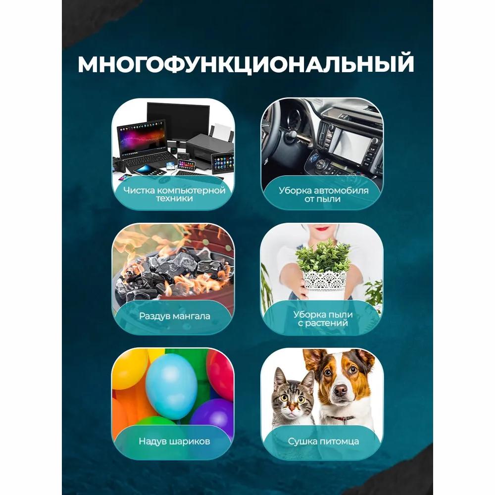 Battery Blower, Turbo / 2 Nozzles / 220W, Black