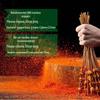 Disposable Bamboo Skewers