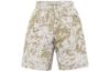 Nike ACG Casual Shorts Men's Light Iron Ore Gray FB8092-012