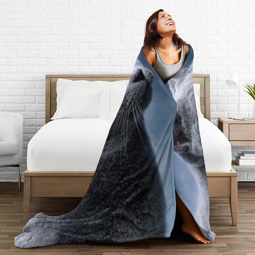 Graue Katze Bedruckte Flanelldecke - Weiches, Gemütliches Fleece, Haustier- & Wohnkultur, Moderner Stil, Ganzjahres, 100% Polyester, Gestrickt, Machi