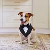 Fashionable Pet Bibs Bandana Dog Collars for Puppies Cats Neck Party Scarves Decorative Triangular Collar Comfortable Gift