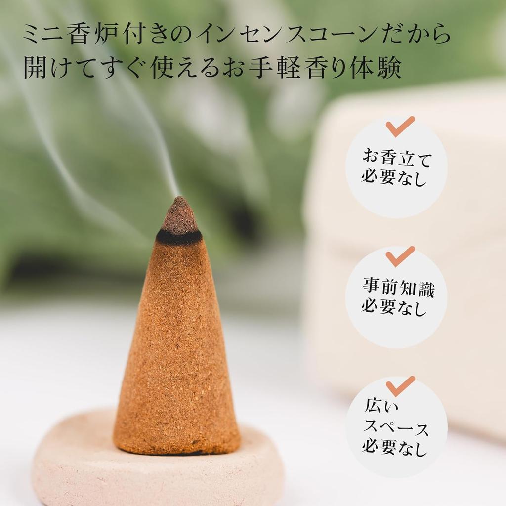 DANNY LIB Frankincense Incense Cone Set with Incense Burn Ideal for and (25 Pieces) Holder, 20-minute Time. Purification, Aromatherapy, Relaxation,