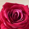 Artificial Rose Flower Heads 2.3" Fake Silk Rose Heads for Wedding Centerpieces Bridal Bouquets DIY Floral Crafts