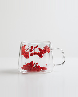 200 ml doppelwandige Glastassen mit echten getrockneten Blumen. Hitzebeständige, klare Kaffeetassen. Teetassen mit Blumenmuster für elegantes Trinken.