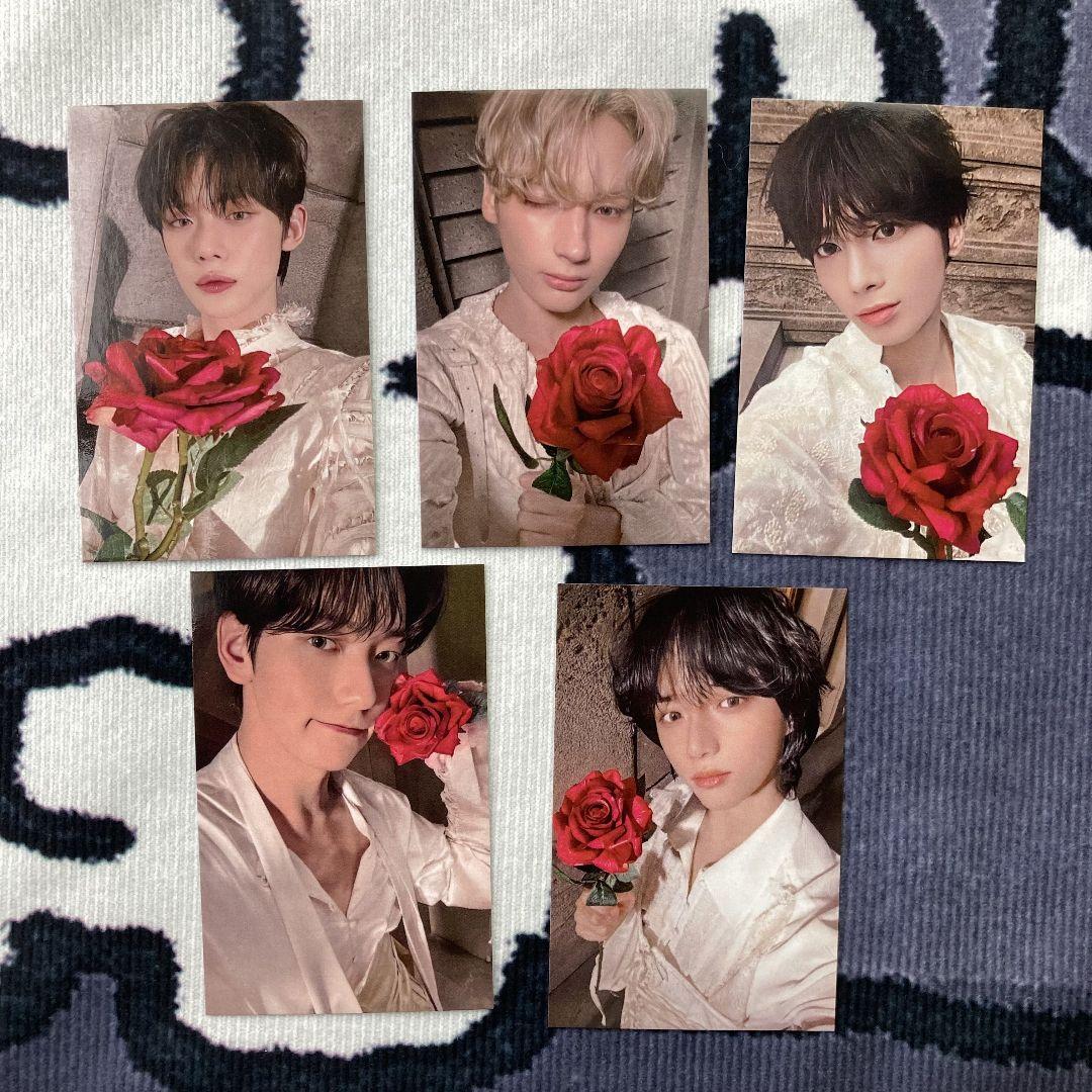 

[USED] Korea TXT TOMORROW Pre-recorded Limited Edition Sanok Trading Cards (5 Cards)