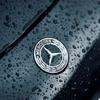 Adesivo per Auto 1 PZ 57mm Ghirlanda Emblema Distintivo Piatto per Cofano per Mercedes Benz W124 W140 W163 W202 W203 W204 W208 W220 W210 W211 auto Ac