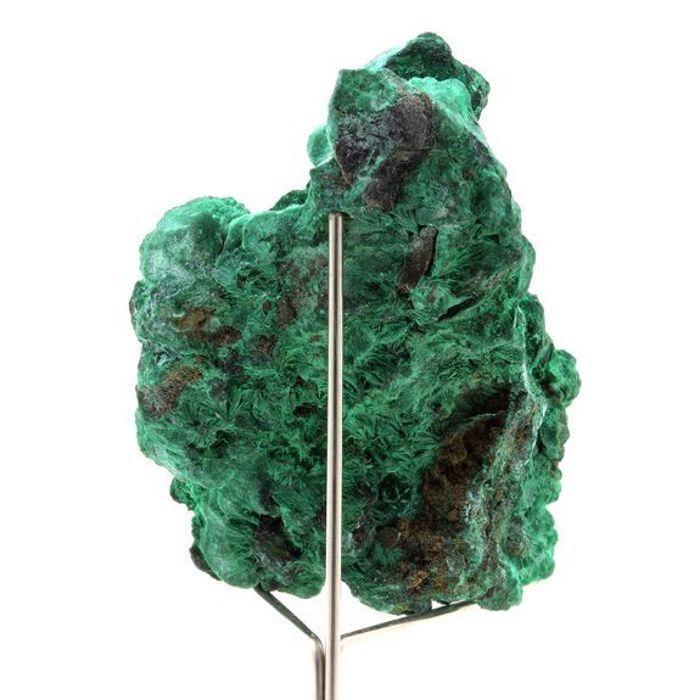 Pierres et Minéraux. Malachite. 524.5 ct. Katanga, Congo.