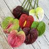NOVÝVícebarevný Umělý Malý Anthurium 60cm Měkká Guma Simulace Rostliny Skutečný Dotek Foto Rekvizity Falešná Červená Palma Domácí Dekorace