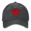 Welsh Dragon Cymru Baseball Cap Sunhat Golf Sun Hat For Children Fishing Cap Womens Beach Outlet Mens