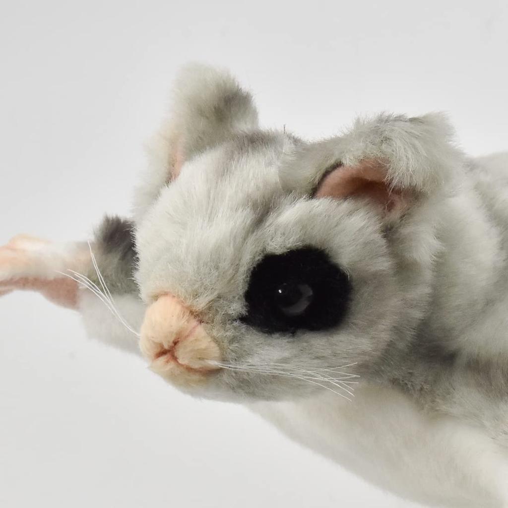 BH4692 HANSA Sugar Glider 35