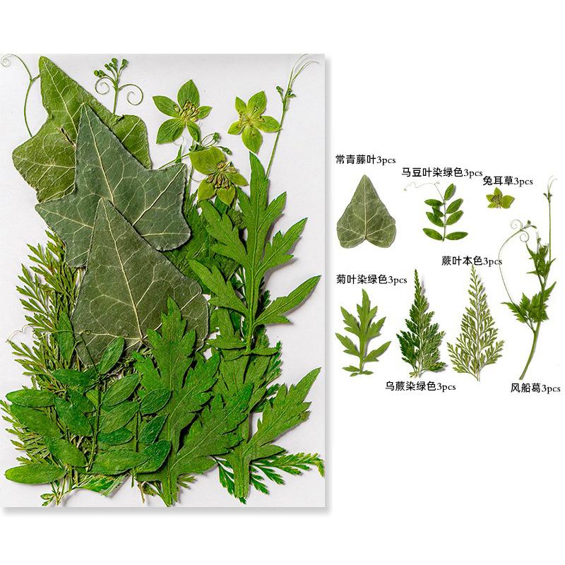 21PCS Set Dried Pressed Plants Leavse for Jewelry Resin Making Natural Green Leaves Flowers Material for DIY Supplies