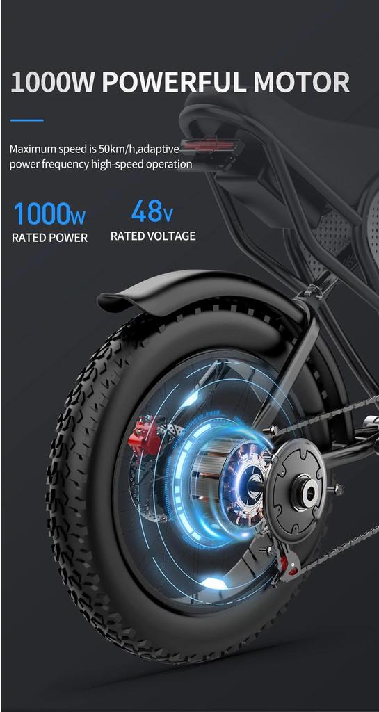 Ridstar Q20 Electric Bike 1000W Powerful Motor 48V20AH Oil Brake 20*4.0inch Fat Tire Ebike Mountain Snow Electric Bicycle