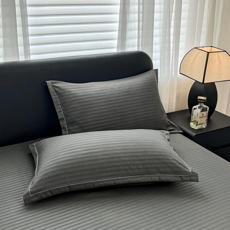 2pcs Brushed Pillowcase Soft Breathable Pillowcase Premium Quality Pillow Covers for Bedroom Sofa Home Decor, Without Pillow