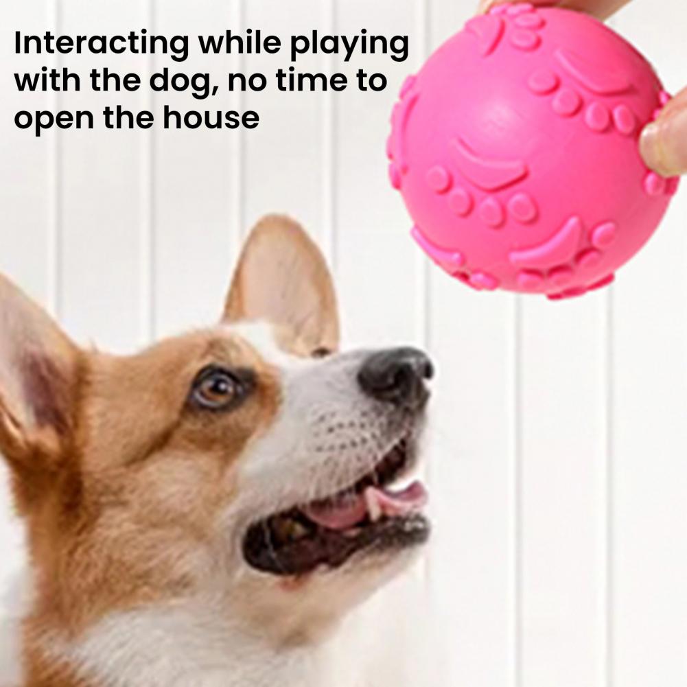 Fetch Toy for Small Dogs Tpr Material Dog Toy Durable Dog Squeaky Ball Toy for Chewers Teeth Chew for Small Dogs Pet Chew Ball