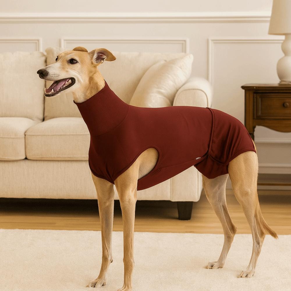 Breathable Dog Physiological Pants Washable Prevent Licking Clothes  for Small Medium Dogs