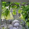 10PCS Fruit Protection Bags,Green Netting Bags for Fruit Trees, Garden Fruit Cover Mesh Bags with Drawstring for Plant Fruit Flower and Vegetables