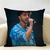 Internet Celebrity Fede VVigevani Cushion Cover Natural Linen Organic Fabric DoubleSided Printing Room Sofa Decor Pillow Case