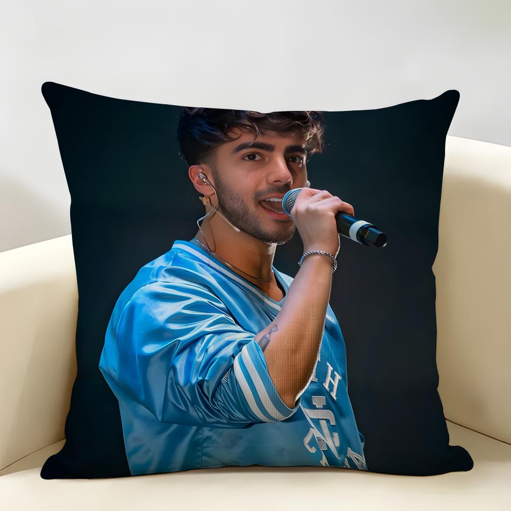 Internet Celebrity Fede VVigevani Cushion Cover Natural Linen Organic Fabric DoubleSided Printing Room Sofa Decor Pillow Case