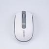 Periferice pentru calculatoare – Mouse-uri