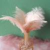 Color 20-25Cm Ostrich Hair Vase Ornament Wall Feather Decoration Hand Bouquet Flower Arrangement Diy Material