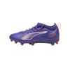 Футзальки Puma 108096