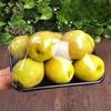 Disposable Black Plastic Serving Tray