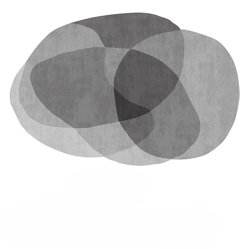 

Irregular Shapes Living Room Decoration Carpet Nordic Style Rugs for Bedroom Thick Plush Lounge Floor Mat Fluffy Soft Study Rug 80x120cm