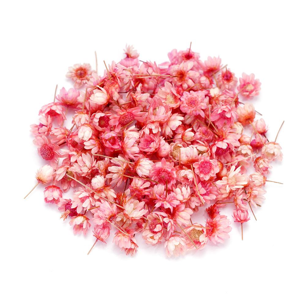 5mm~ 8mm Bags of Dried Flowers, Natural Little Star Flower Head, Handmade DIY Group Fan Crystal Epoxy Decorative Dried Flowers